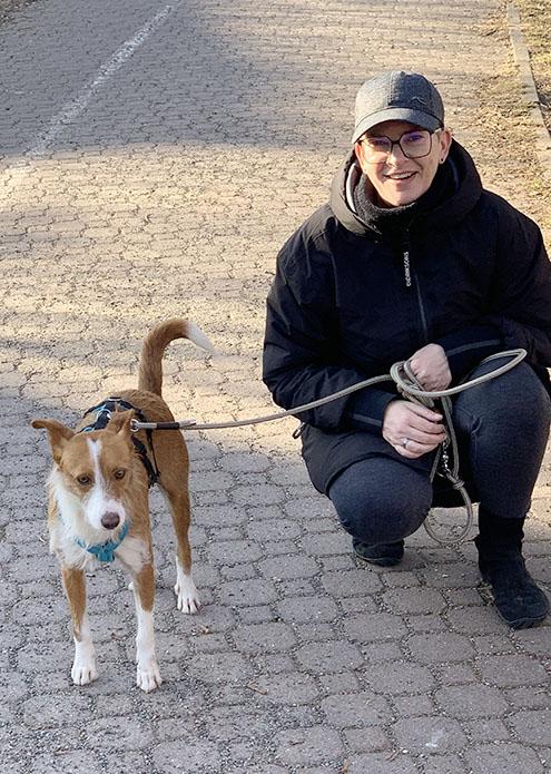 Podenco Joker mit seinem Frauchen auf dem Spaziergang in Berlin