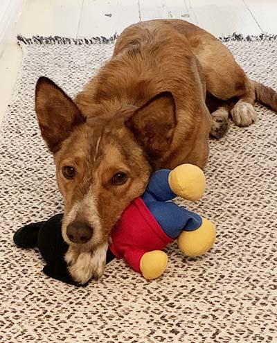 Pablo mit seinem Teddybär