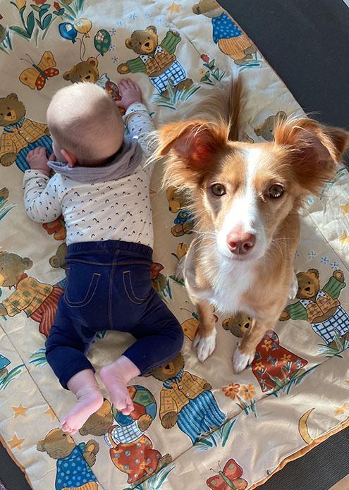 Podenco Cleo sitz aud einer Matte mit dem Baby